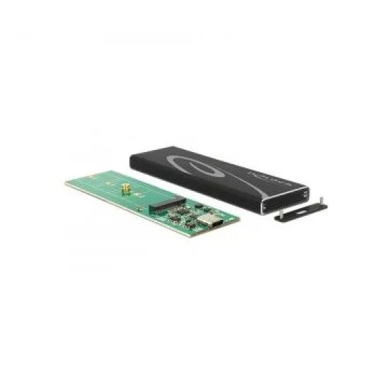 DeLOCK 42574 Boîtier de disques de stockage Enceinte ssd Noir DeLOCK 42574 Boîtier de disques de stockage Enceinte ssd Noir