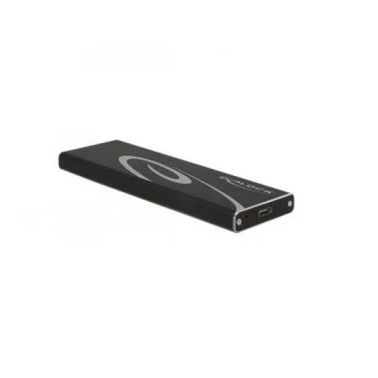 DeLOCK 42574 Boîtier de disques de stockage Enceinte ssd Noir DeLOCK 42574 Boîtier de disques de stockage Enceinte ssd Noir