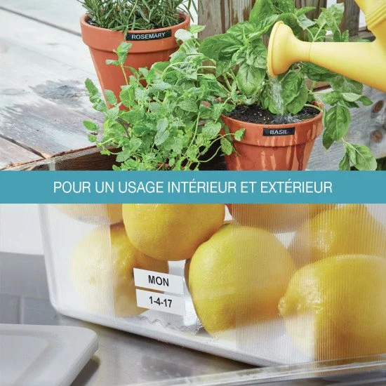 DYMO Étiquettes résistantes D1
