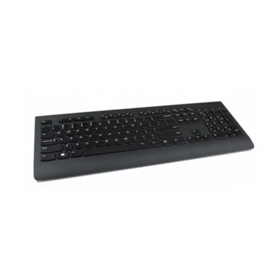 Lenovo 4X30H56841 clavier RF sans fil QWERTY Anglais américain Noir Lenovo 4X30H56841 clavier RF sans fil QWERTY Anglais américain Noir