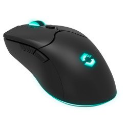 SPEEDLINK SL-680102-BK souris Gaming USB Type-A 4800 DPI