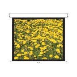 Optoma DS-3120PMG+ écran de projection 120"