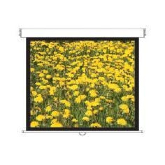 Optoma DS-3120PMG+ écran de projection 120"