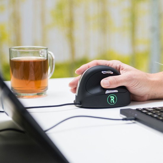 R-Go Tools R-Go HE Break Mouse,Souris ergonomique, Logiciel anti-RSI, Moyen (Longueur de la main 165-185mm), Filaire