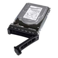 DELL 161-BBRC disque dur 2 To 7200 tr/min 3.5" Série ATA III