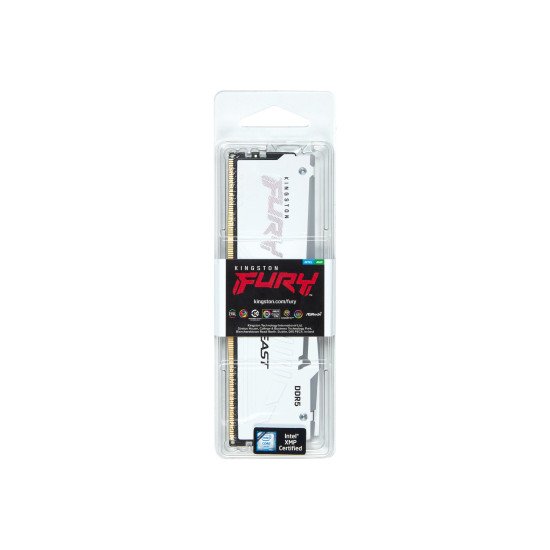 Kingston Technology FURY Beast RGB module de mémoire 32 Go 1 x 32 Go DDR5 5600 MHz