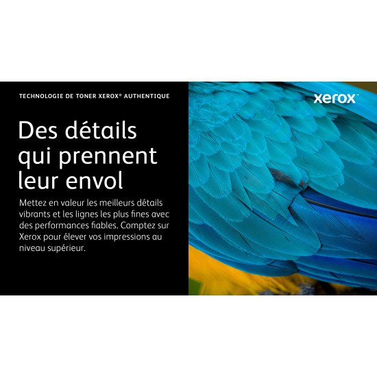 Xerox Cartouche de toner Magenta de Grande capacité Imprimante couleur ® VersaLink® C620 (12000 pages) - 006R04626