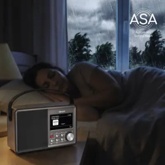 Albrecht DR 862 Portable Numérique Gris, Bois