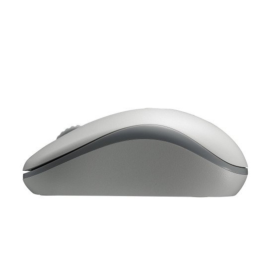 Rapoo M10 Plus souris Ambidextre RF sans fil Optique 1000 DPI