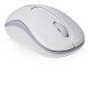 Rapoo M10 Plus souris Ambidextre RF sans fil Optique 1000 DPI