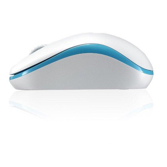 Rapoo M10 Plus souris Ambidextre RF sans fil Optique 1000 DPI