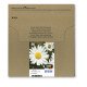 Epson Daisy Cartouche d'encre 4-colours 18 EasyMail