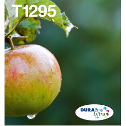 Epson Apple Multipack 4-colours T129 EasyMail