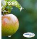Epson Apple Multipack 4-colours T129 EasyMail