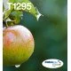 Epson Apple Multipack 4-colours T129 EasyMail Epson Apple Multipack 4-colours T129 EasyMail