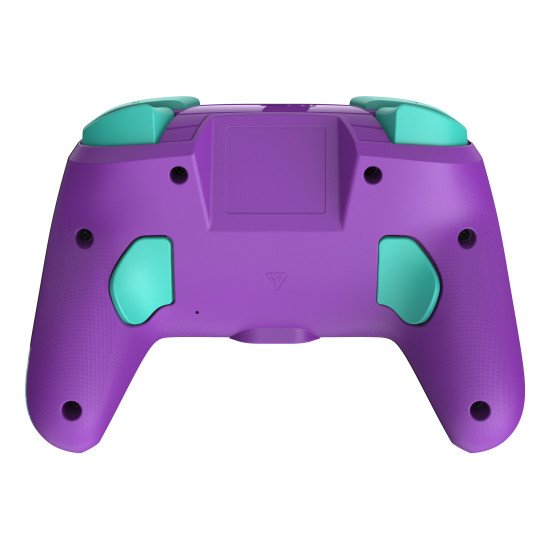 Turtle Beach Rematch: Invincible Mario Turtle Beach Rematch: Invincible Mario