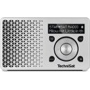 TechniSat DigitRadio 1 Portable Numérique Argent TechniSat DigitRadio 1 Portable Numérique Argent