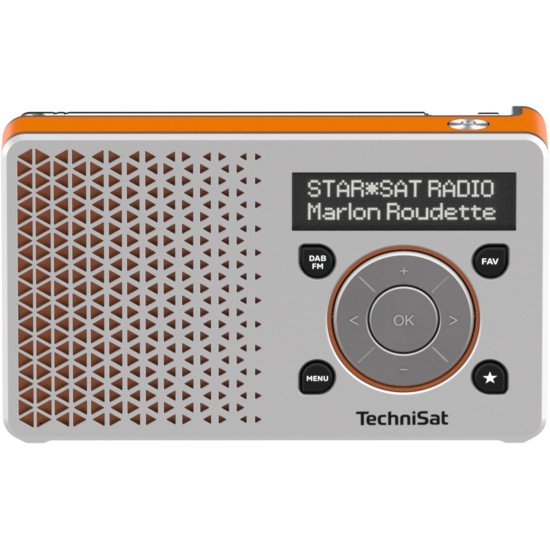 TechniSat DigitRadio 1 Portable Numérique Orange, Argent
