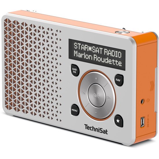 TechniSat DigitRadio 1 Portable Numérique Orange, Argent