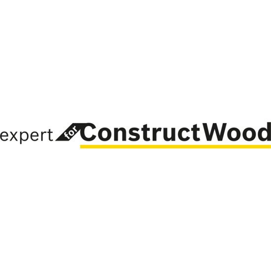 Bosch Lames de scies circulaires Expert for Construct Wood