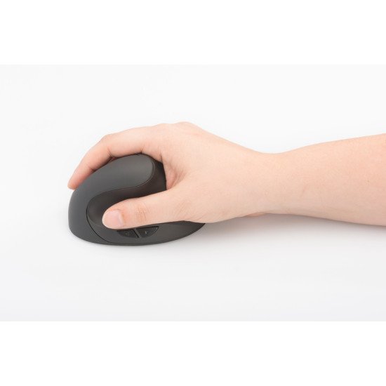 Digitus DA-20155 souris RF sans fil Optique 1600 DPI Droitier Digitus DA-20155 souris RF sans fil Optique 1600 DPI Droitier