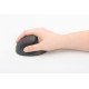 Digitus DA-20155 souris RF sans fil Optique 1600 DPI Droitier Digitus DA-20155 souris RF sans fil Optique 1600 DPI Droitier