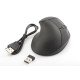 Digitus DA-20155 souris RF sans fil Optique 1600 DPI Droitier Digitus DA-20155 souris RF sans fil Optique 1600 DPI Droitier