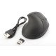 Digitus DA-20155 souris RF sans fil Optique 1600 DPI Droitier