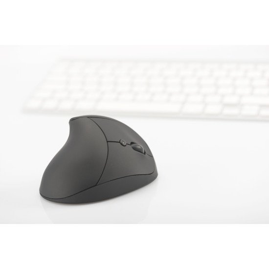 Digitus DA-20155 souris RF sans fil Optique 1600 DPI Droitier Digitus DA-20155 souris RF sans fil Optique 1600 DPI Droitier