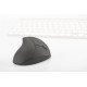 Digitus DA-20155 souris RF sans fil Optique 1600 DPI Droitier Digitus DA-20155 souris RF sans fil Optique 1600 DPI Droitier