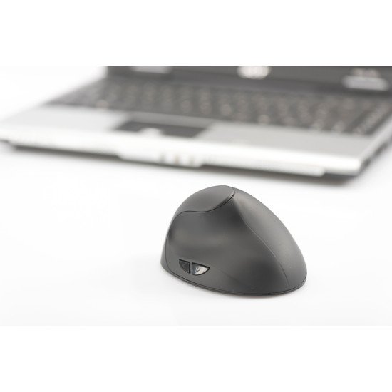Digitus DA-20155 souris RF sans fil Optique 1600 DPI Droitier Digitus DA-20155 souris RF sans fil Optique 1600 DPI Droitier