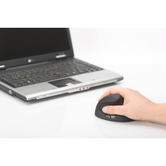 Digitus DA-20155 souris RF sans fil Optique 1600 DPI Droitier Digitus DA-20155 souris RF sans fil Optique 1600 DPI Droitier