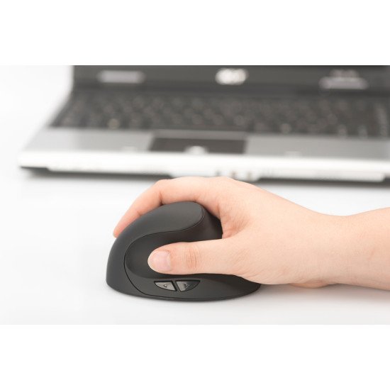 Digitus DA-20155 souris RF sans fil Optique 1600 DPI Droitier Digitus DA-20155 souris RF sans fil Optique 1600 DPI Droitier