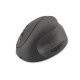 Digitus DA-20155 souris RF sans fil Optique 1600 DPI Droitier Digitus DA-20155 souris RF sans fil Optique 1600 DPI Droitier