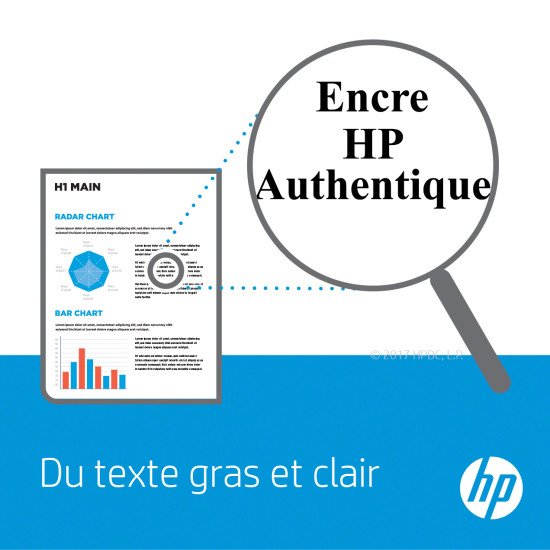 HP 300 Original Noir, Cyan, Magenta, Jaune 2 pièce(s) HP 300 Original Noir, Cyan, Magenta, Jaune 2 pièce(s)