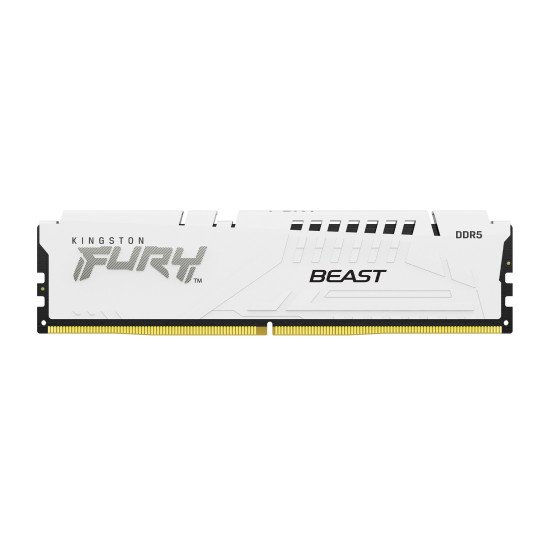 Kingston Technology FURY Beast module de mémoire 16 Go 1 x 16 Go DDR5 5600 MHz