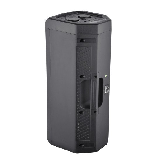 Reflexion PS09BT haut-parleur portable et de fête Enceinte portable stéréo Noir 500 W