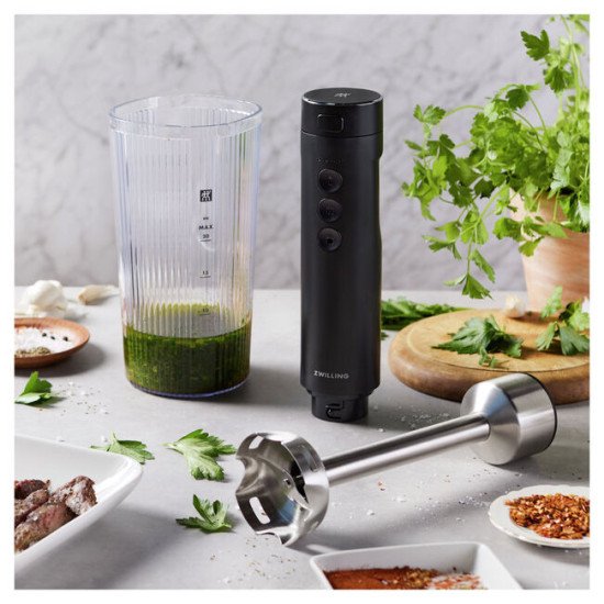 ZWILLING 1030457 mixeur Batteur à main 250 W Noir