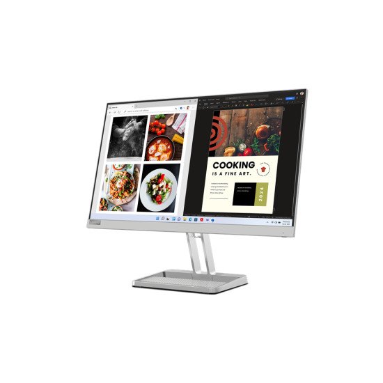 Lenovo L24i-40 LED display 60,5 cm (23.8") 1920 x 1080 pixels Full HD Gris