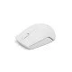 Lenovo 300 WIRELESS MOUSE'GREY souris Ambidextre RF sans fil Optique 1000 DPI Lenovo 300 WIRELESS MOUSE'GREY souris Ambidextre RF sans fil Optique 1000 DPI