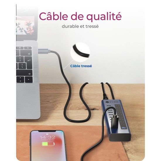 ICY BOX Hub 10 ports USB Type-C Gen 2 ICY BOX Hub 10 ports USB Type-C Gen 2