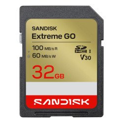 SanDisk Extreme GO 32 Go SDHC UHS-I