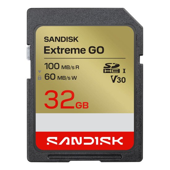SanDisk Extreme GO 32 Go SDHC UHS-I