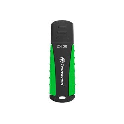 Transcend JetFlash 810 lecteur USB flash 256 Go USB Type-A 3.2 Gen 1 (3.1 Gen 1) Noir, Vert