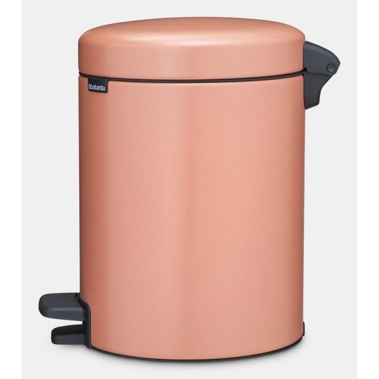 Brabantia NewIcon 5 L Rond Acier Or