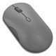 Lenovo 350 souris Bureau Ambidextre Bluetooth Optique 2400 DPI