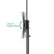 Manhattan Support trolley pour téléviseurs et moniteurs de 37 à 70 pouces, VESA 200x200 à 600x400 mm, charge max. 70 kg, noir, vérifiez les quatre trous de montage au dos de l'écran, garantie à vie
