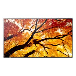Sharp MultiSync M862 Écran plat de signalisation numérique 2,18 m (86") LCD 550 cd/m² 4K Ultra HD Noir 24/7