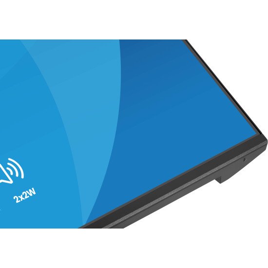 iiyama ProLite X2491HS-B1 écran PC 60,5 cm (23.8") 1920 x 1080 pixels Full HD LCD Noir