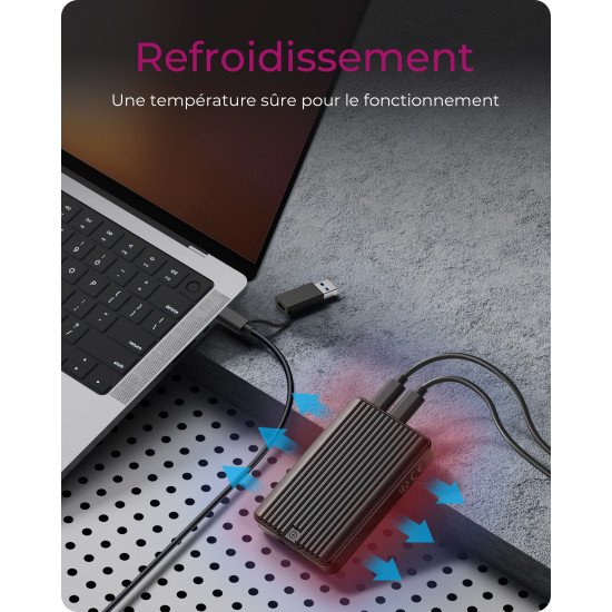 ICY BOX IB-CR601M-C31 lecteur de carte mémoire